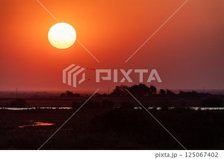 Sunset over the chobe river 125067402
