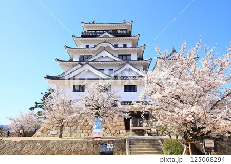 【広島県】桜咲く春の福山城(復興後) 【広島県】桜咲く春の福山城(復興後) 125068294