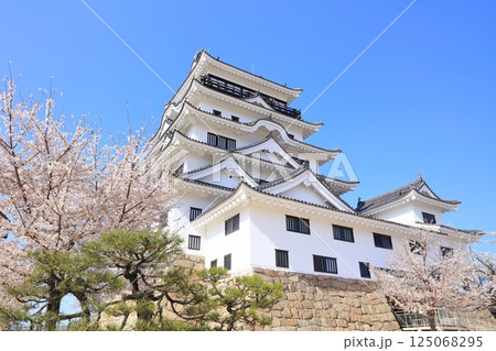 【広島県】桜咲く春の福山城（復興後） 125068295