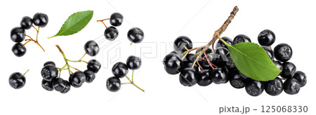 Chokeberry with leaf isolated on white background. Black aronia. Top view. Flat lay Chokeberry with leaf isolated on white background. Black aronia. Top view. Flat lay 125068330