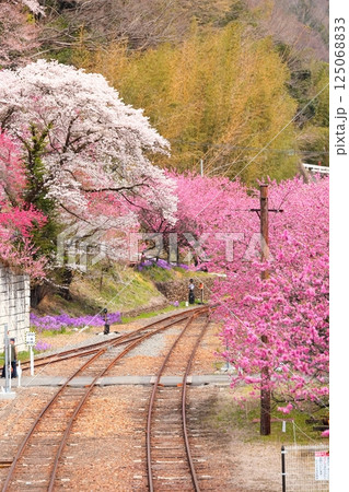 花桃咲く神戸駅とわたらせ渓谷鉄道 125068833