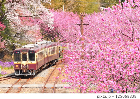 花桃咲く神戸駅とわたらせ渓谷鉄道 125068839