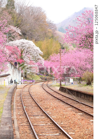 花桃咲く神戸駅とわたらせ渓谷鉄道 125068847