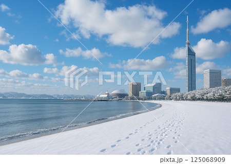 福岡タワーとシーサイドももち海浜公園の雪景色 福岡タワーとシーサイドももち海浜公園の雪景色 125068909