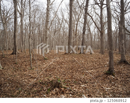 早春のキウス周堤墓群 125068912