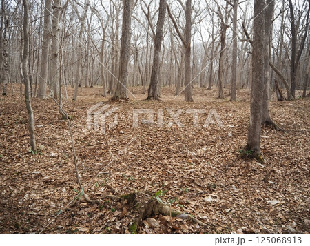 早春のキウス周堤墓群 125068913