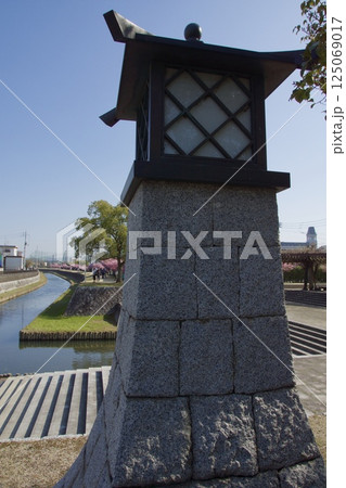 倉敷川　満開の河津桜の春　倉敷川親水公園 125069017