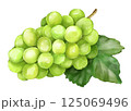 シャインマスカット　葉付き 125069496