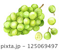 シャインマスカット 125069497