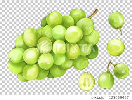 閃耀馬斯喀特 125069497