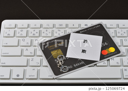 フィッシング詐欺や特殊詐欺のイメージ 125069724