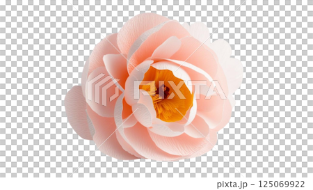 Isolated single paper flower peony made from crepe paper 125069922