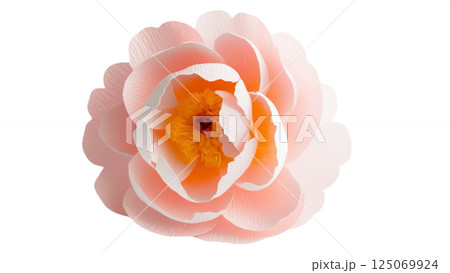 Isolated single paper flower peony made from crepe paper 125069924
