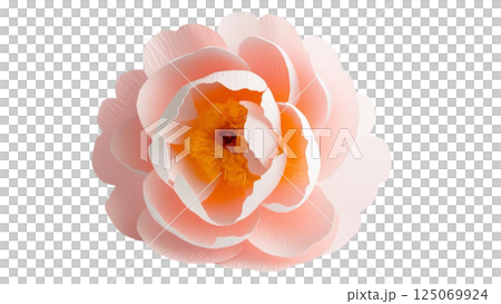 Isolated single paper flower peony made from crepe paper 125069924