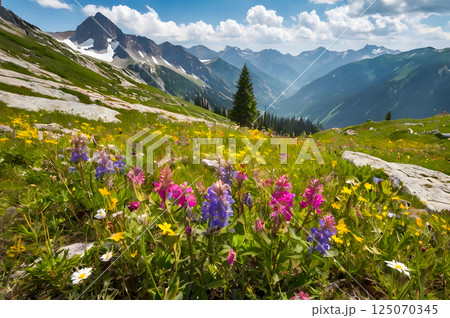 landscape with pink flowers and stones 125070345