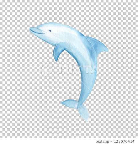 Jumping dolphin watercolor illustration isolated on white. Hand drawn blue monochromatic clip art perfect for notebooks, posters, wallpaper, tote bags, cards, eco, tickets, tourism, nursery room decor Jumping dolphin watercolor illustration isolated on white. Hand drawn blue monochromatic clip art perfect for notebooks, posters, wallpaper, tote bags, cards, eco, tickets, tourism, nursery room decor 125070414