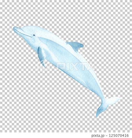 Dolphin watercolor illustration isolated on white. High quality hand-drawn blue monochromatic clip art perfect for notebooks, posters, wallpaper, tote bags, cards, eco, tourism, room decor and design 125070416