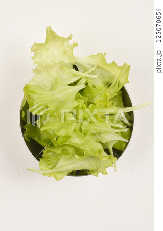 Green lettuce leaves 125070654