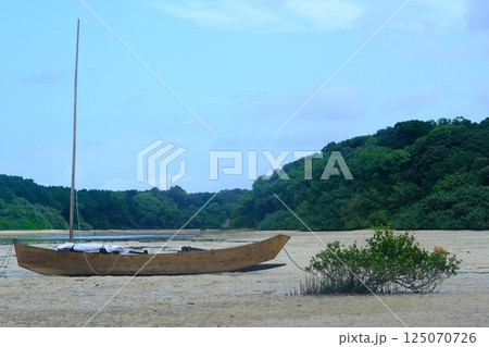 サバニ船と川平湾 サバニ船と川平湾 125070726