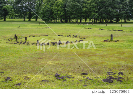 特別史跡「大湯環状列石」の野中堂環状列石と日時計遺構 125070962