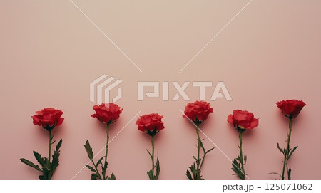 いカーネーションのイメージ、ピンクの背景 125071062
