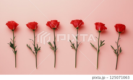 いカーネーションのイメージ、ピンクの背景 125071063
