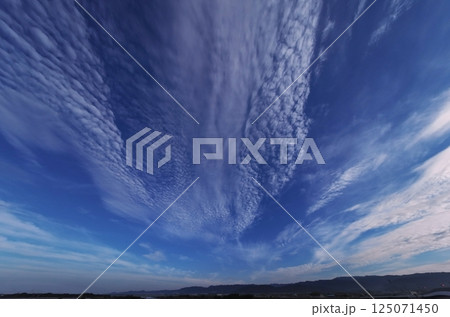 多様な雲が放射状に広がった清々しい朝の西空・超広角・空主体・240718am 多様な雲が放射状に広がった清々しい朝の西空・超広角・空主体・240718am 125071450