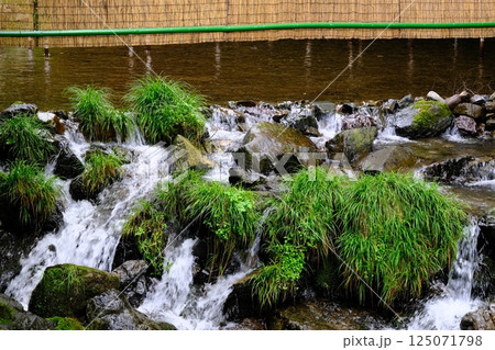 京の避暑地の貴船川 京の避暑地の貴船川 125071798