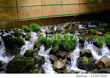 京の避暑地の貴船川 125071802