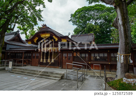 護王神社 125072589
