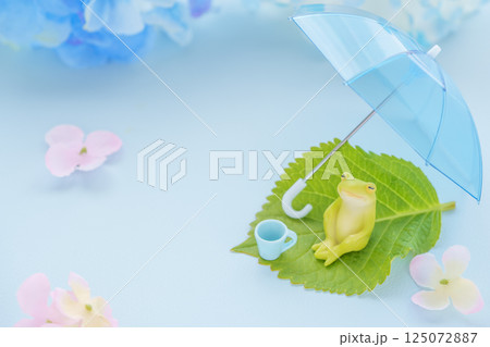 梅雨のイメージ｜傘とカエルとあじさいの花 125072887