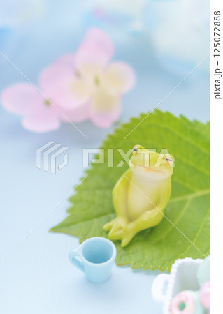 梅雨のイメージ｜カエルとあじさいの花 125072888