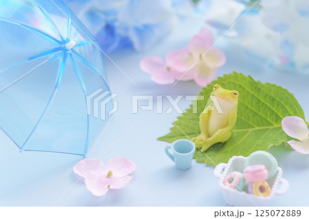 梅雨のイメージ｜傘とカエルとあじさいの花 125072889