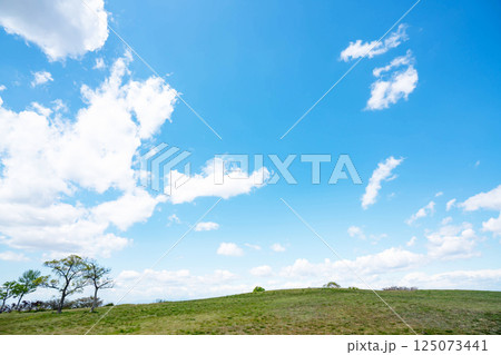 青空と草原 125073441