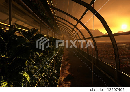 Lush greenery growing inside a large greenhouse extending into a Martian landscape at sunset 125074054