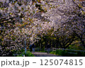桜のトンネルを歩く 125074815