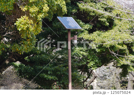 ソーラーパネル街灯_01 125075024