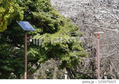ソーラーパネル街灯_02 125075025