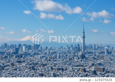 富士山と東京スカイツリー　雪景色 125075028