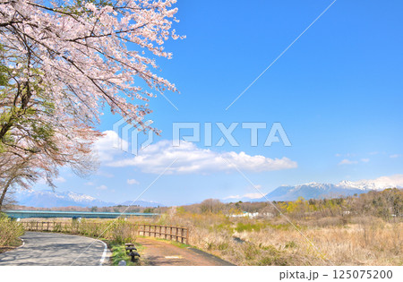 栃木県那須塩原市　満開の桜と那須岳の風景 125075200