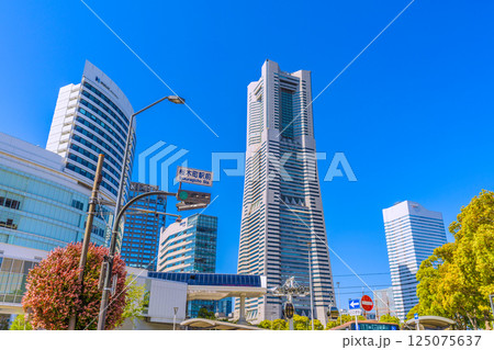 日本の東京都市景観新緑4月。 YOKOHAMA AIR CABIN桜木町駅や横浜ランドマークタワー 日本の東京都市景観新緑4月。 YOKOHAMA AIR CABIN桜木町駅や横浜ランドマークタワー 125075637