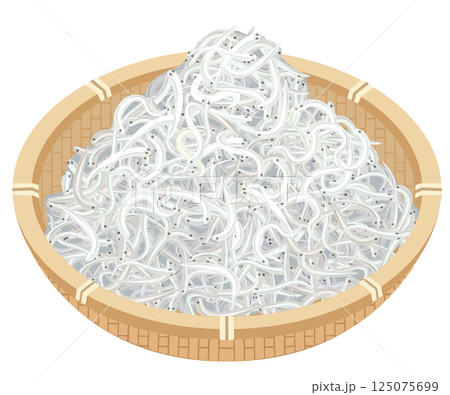 ちりめんじゃこ ちりめんじゃこ 125075699