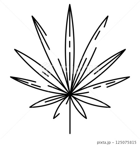 Illustration of stylized palm leaf. Decorative image of tropical foliage and plant. Illustration of stylized palm leaf. Decorative image of tropical foliage and plant. 125075815