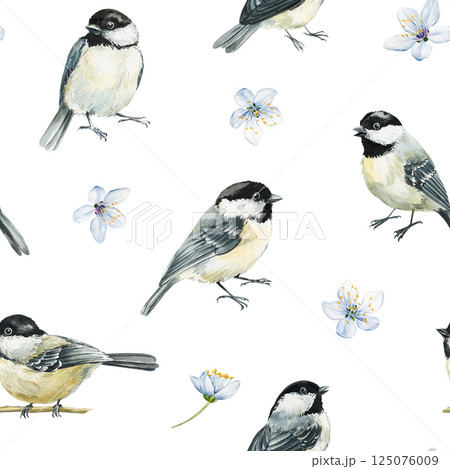 Seamless pattern with chickadee birds and spring flowers, black and white wild bird illustration on white background Seamless pattern with chickadee birds and spring flowers, black and white wild bird illustration on white background 125076009