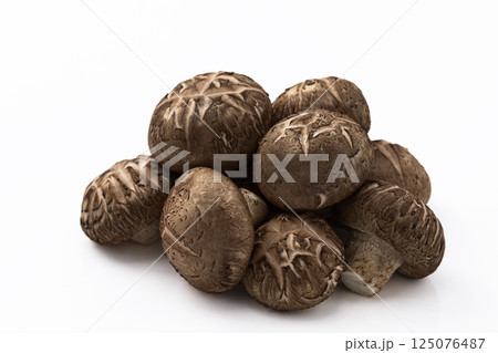 白バックのしいたけ 125076487