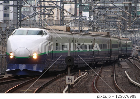 東北・上越新幹線200系（リニュアールカラー） 125076989