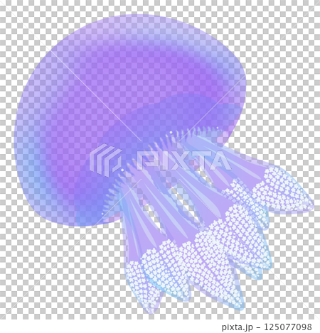 カラージェリーフィッシュ_紫 125077098