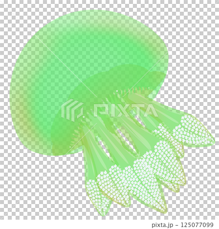 Color Jellyfish_Green 125077099