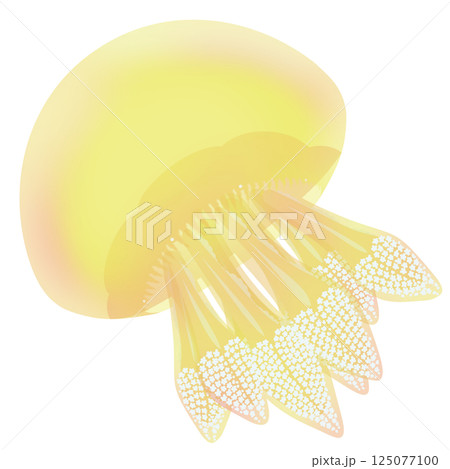カラージェリーフィッシュ_黄 125077100