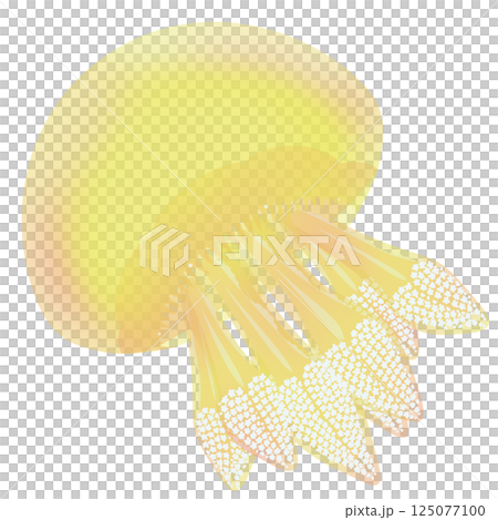 カラージェリーフィッシュ_黄 125077100